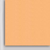 Термотрансферная пленка poli-flock Light Beige 509 (светло-бежевая), 1м