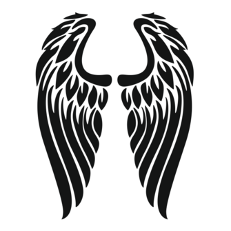 Макет для футболки "Крылья"