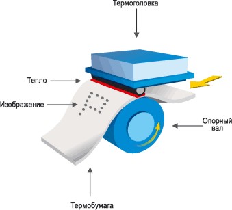 Особенности термотрансферной печати на ткани